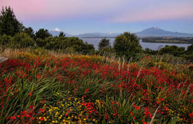 Région des lacs Puerto Varas  