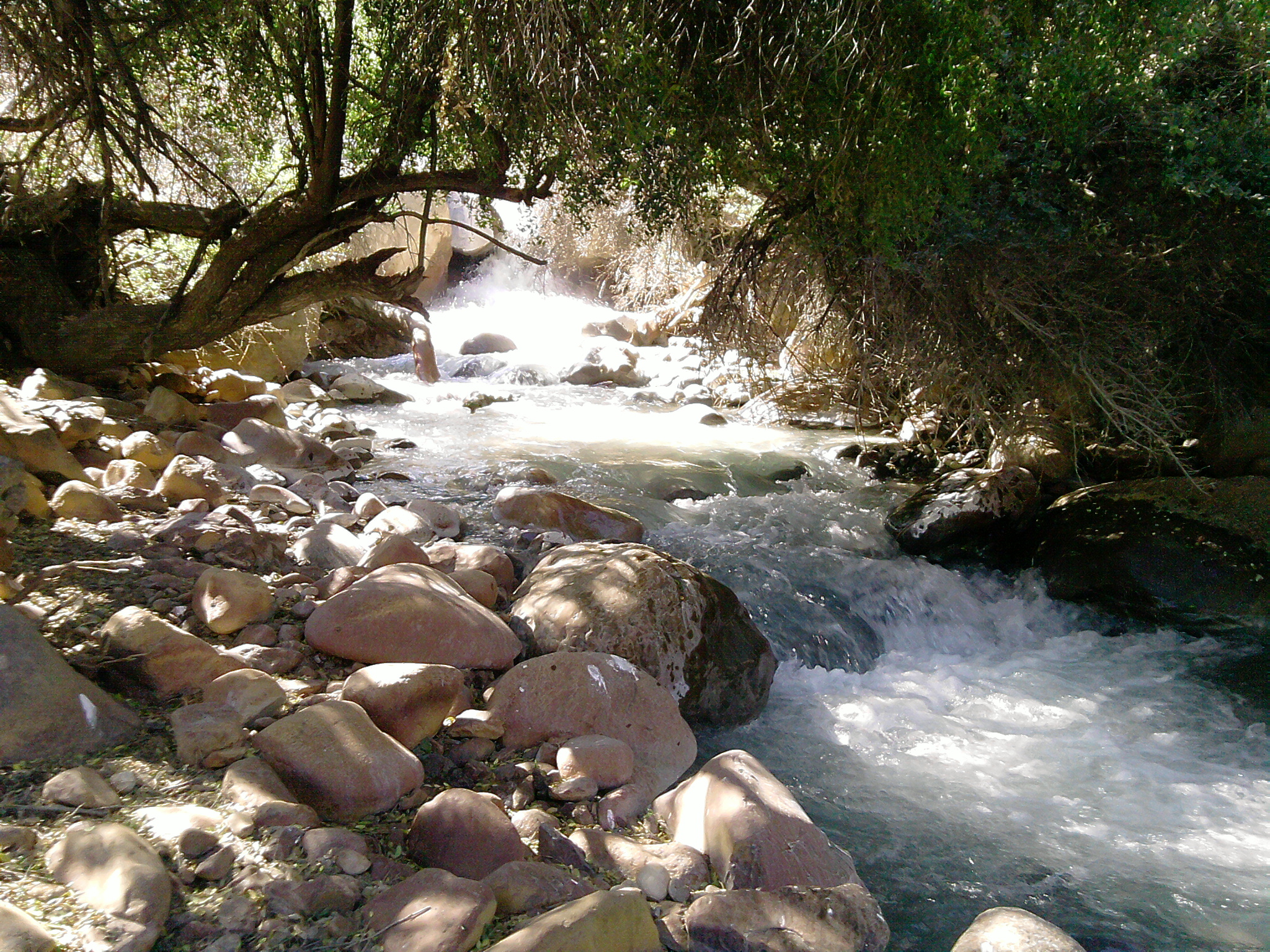 Sunlight filters through trees over a rocky river flowing through the forested landscape of Yerba Loca Park, Chile.