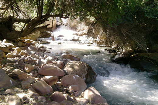 Sunlight filters through trees over a rocky river flowing through the forested landscape of Yerba Loca Park, Chile.