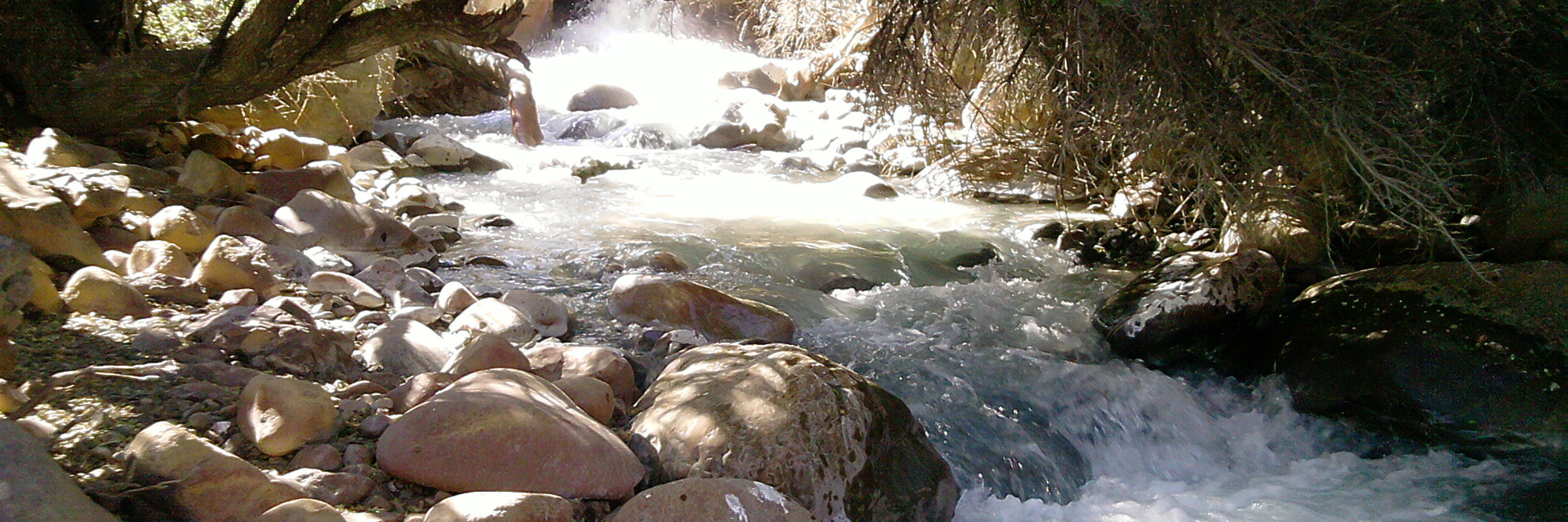 Sunlight filters through trees over a rocky river flowing through the forested landscape of Yerba Loca Park, Chile.