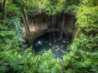 Cenote Ik Kil in Yucatan, Mexico, a deep natural sinkhole surrounded by lush jungle, vines, and clear blue swimming water. 