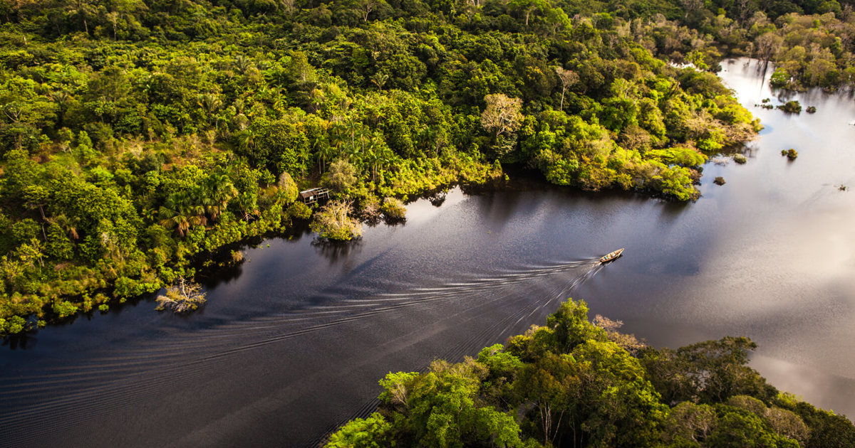 Eco-Tourism in Brazil: Discovering the Amazon Rainforest - Eco-Lodges: Immersive Rainforest Stay