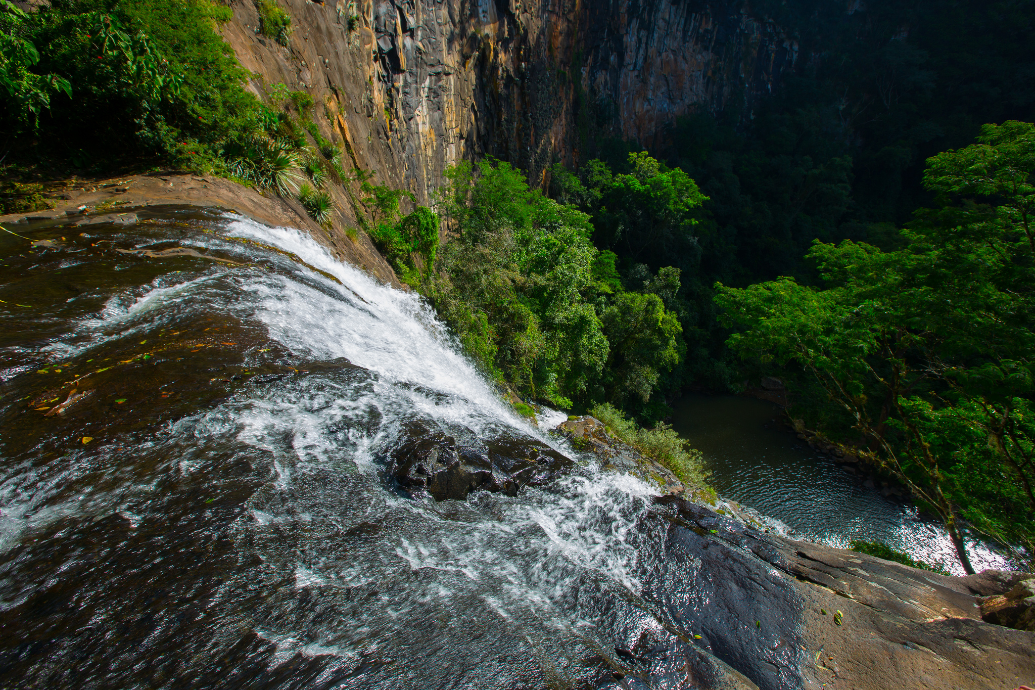 4139 Sapiranga Forest Reserve