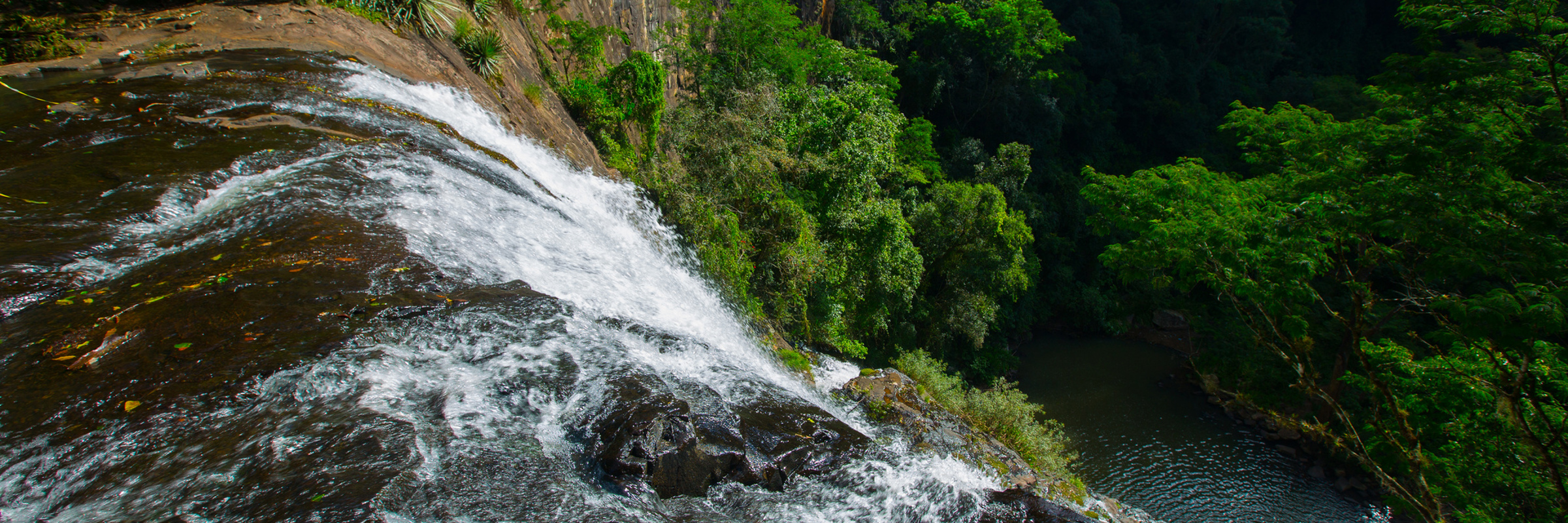 4139 Sapiranga Forest Reserve