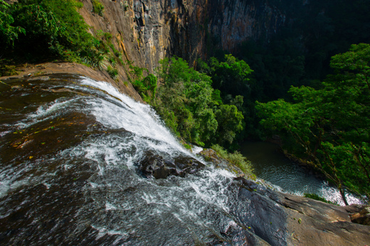 4139 Sapiranga Forest Reserve