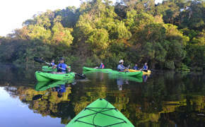 Travelers kayaking through a calm jungle river during an Amazon expedition cruise in Brazil. 