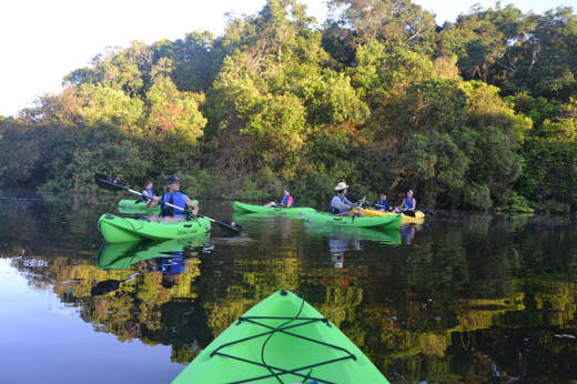 Travelers kayaking through a calm jungle river during an Amazon expedition cruise in Brazil. 