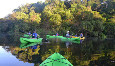 Travelers kayaking through a calm jungle river during an Amazon expedition cruise in Brazil. 