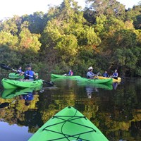 Kayak Excursion On Board An Amazon Expedition Cruise