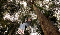 8583 Amazon Canopy Climbing