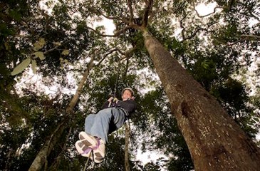 8583 Amazon Canopy Climbing