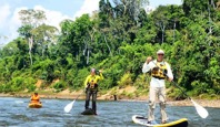 8577 Paddle Boarding