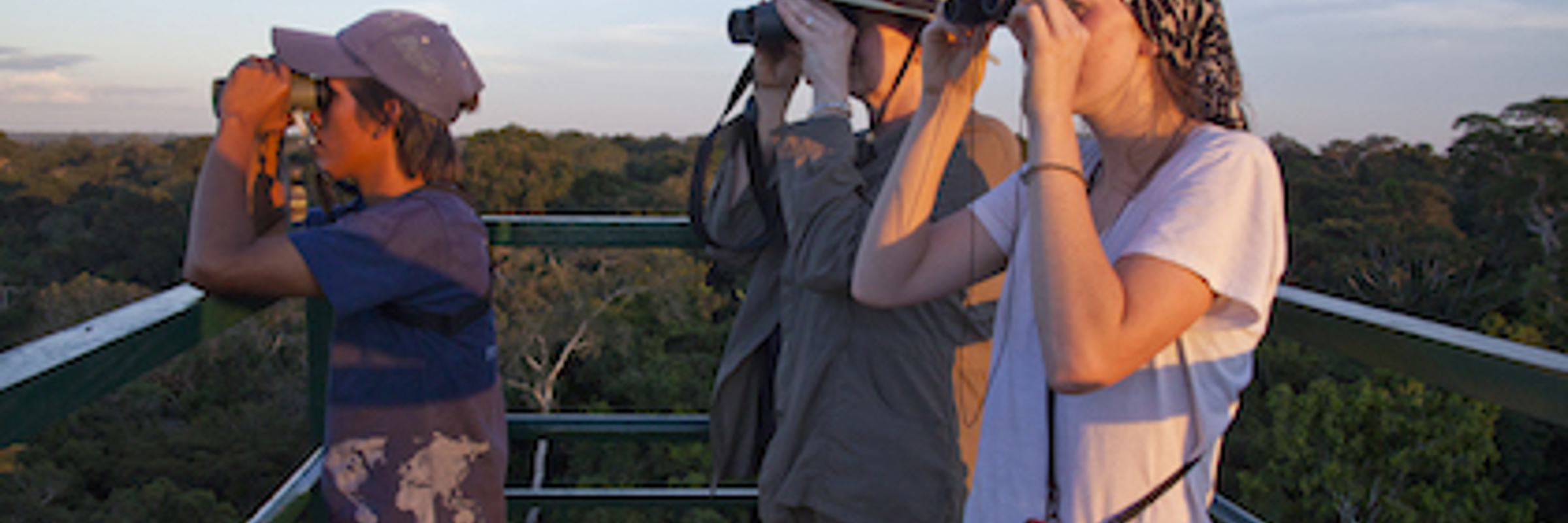 8574 Canopy Towers