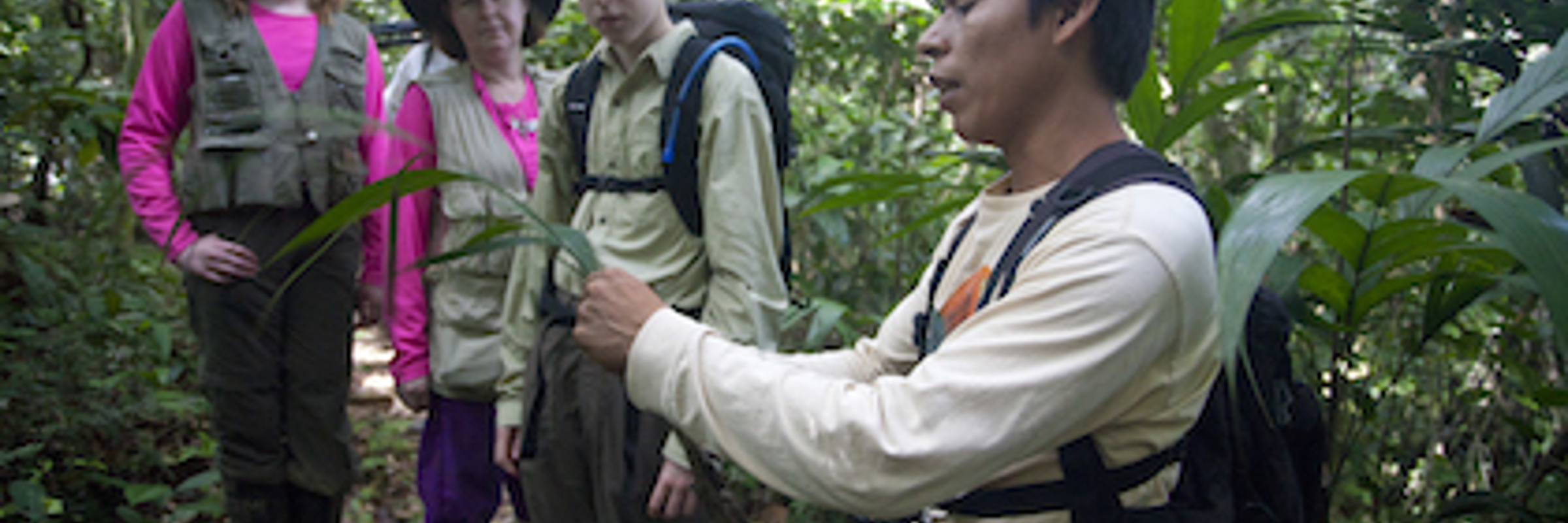 8573 Amazon Nature Trails