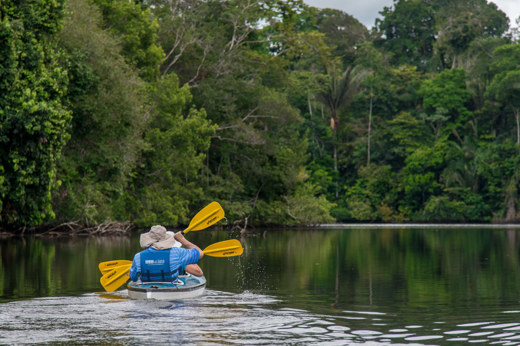 8591 Kayaking In The Amazon