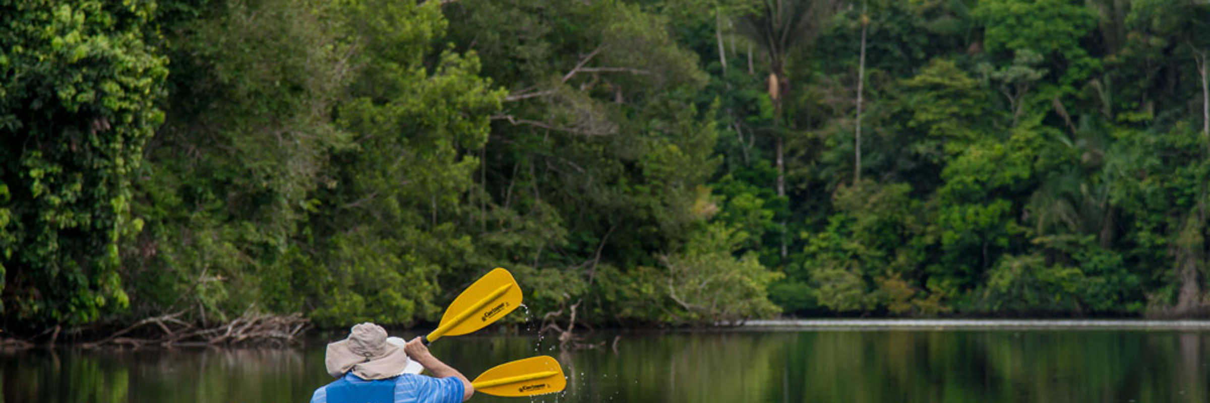 8591 Kayaking In The Amazon