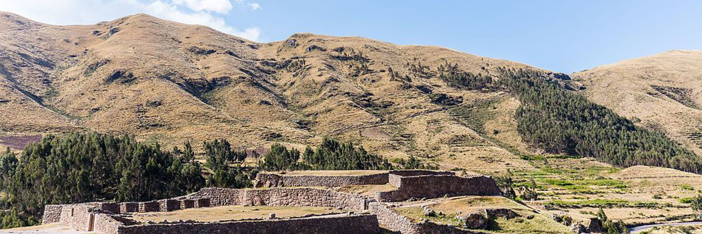 8493 Tambomachay & Puca Pucara