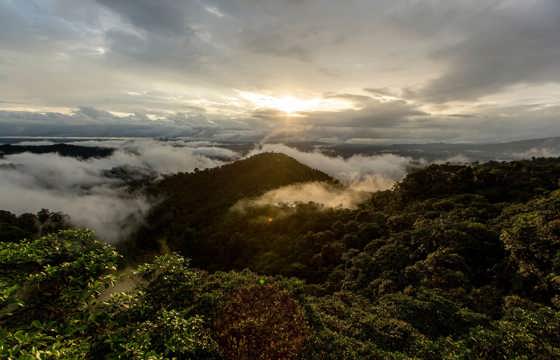 Bellavista Cloud Forest