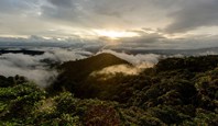 Forêt nuageuse dans la Vallée de Mindo