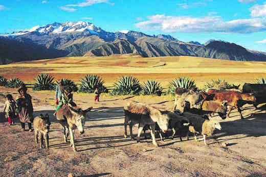Locals with donkeys in Peru's Sacred Valley of the Incas under the Andean mountain peaks. 