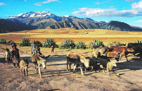 Locals with donkeys in Peru's Sacred Valley of the Incas under the Andean mountain peaks. 