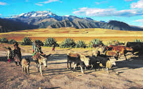 1681 Sacred Valley Of The Incas