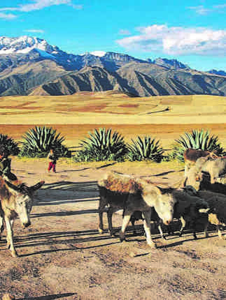 1681 Sacred Valley Of The Incas