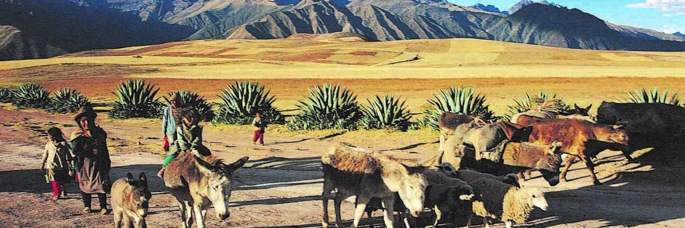 Locals with donkeys in Peru's Sacred Valley of the Incas under the Andean mountain peaks. 