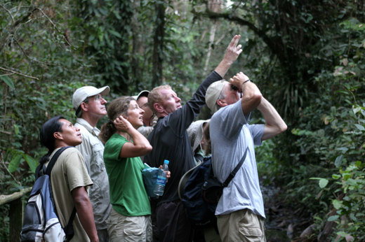8588 Jungle Nature Trails