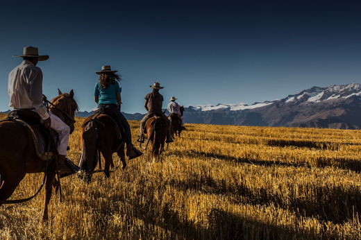 8368 Horse Riding In The Sacred Valley