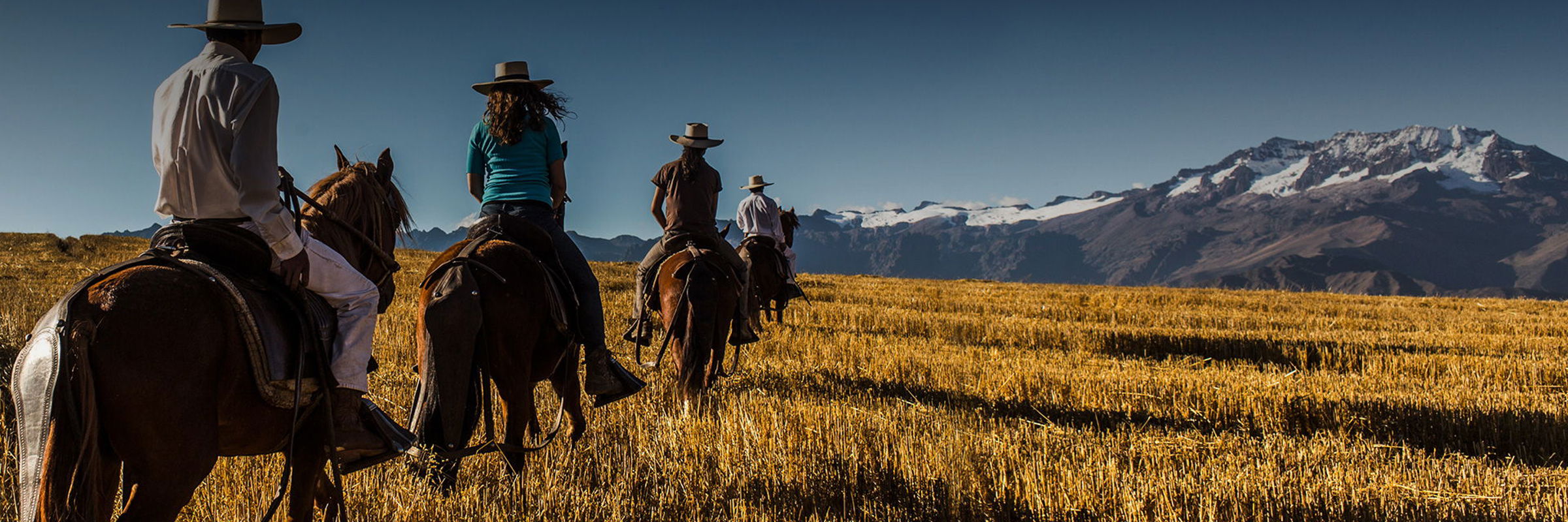 8368 Horse Riding In The Sacred Valley
