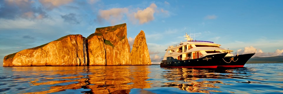8077 Visiting The Galapagos: What To Expect