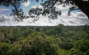 3152 Venture Into The Amazon