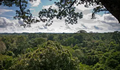 3152 Venture Into The Amazon