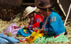 8377 Uros Floating Reed Islands