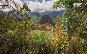 Machu Picchu emerges from the jungle canopy, echoing the glory of the Inca Empire. 