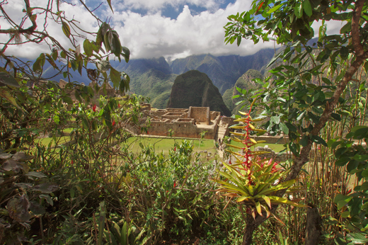 Machu Picchu emerges from the jungle canopy, echoing the glory of the Inca Empire. 