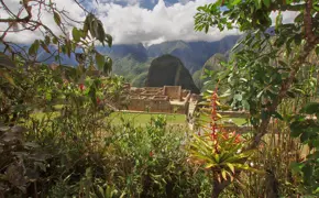 7920 Latin Americas Ancient Civilisations: Incas