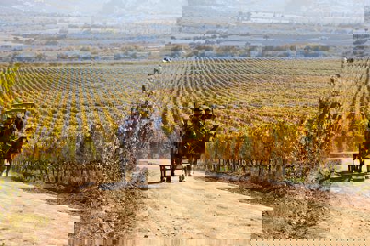 8550 Colchagua Valley Vineyards