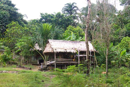 Traditional wooden house in a remote Amazon village surrounded by lush tropical forest, Brazil. 