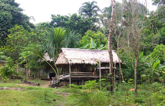 Traditional wooden house in a remote Amazon village surrounded by lush tropical forest, Brazil. 