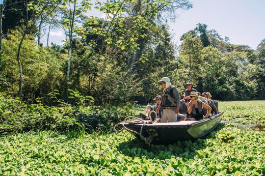 Tourists on a guided boat tour exploring the Amazon jungle and wildlife in Peru. 