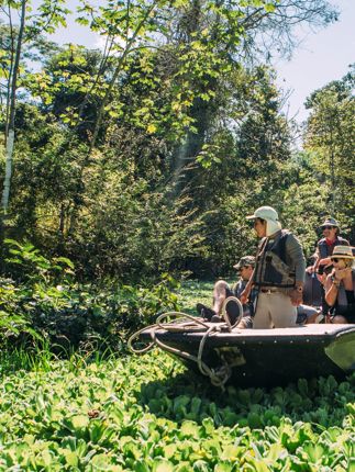 Tourists on a guided boat tour exploring the Amazon jungle and wildlife in Peru. 