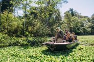 Tourists on a guided boat tour exploring the Amazon jungle and wildlife in Peru. 
