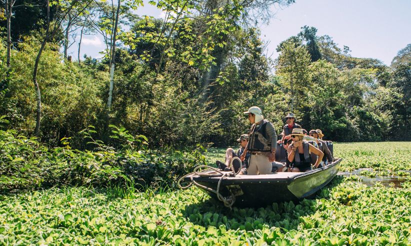 Tourists on a guided boat tour exploring the Amazon jungle and wildlife in Peru. 
