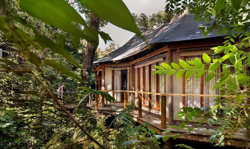 A secluded suite at Kasiiya Lodge blends luxury and nature, nestled in the heart of Costa Rica's tropical wilderness. 