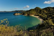 A tranquil bay framed by lush forested hills, offering stunning views of Costa Rica's unspoiled coastline. 