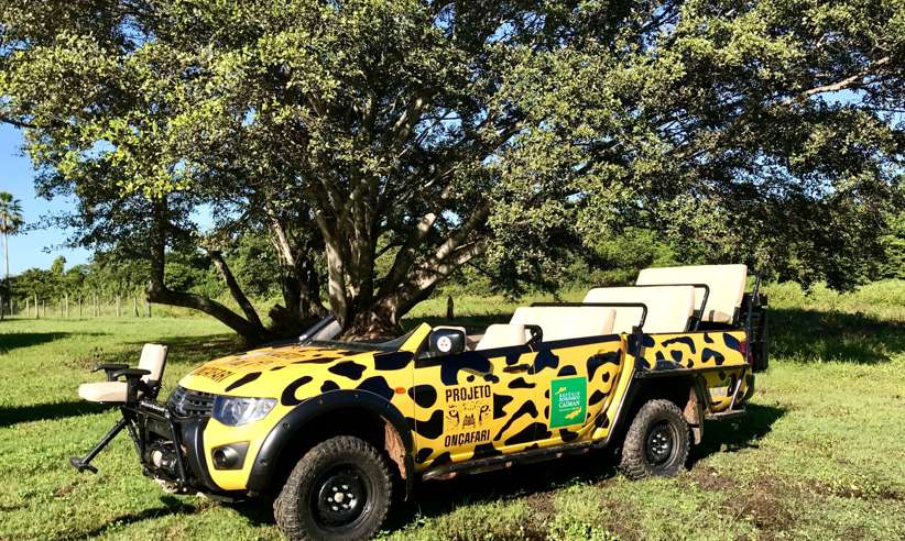 Your safari open top vehicle