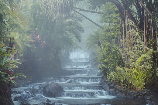 Peaceful tropical garden stream flowing down stone steps surrounded by lush foliage. 