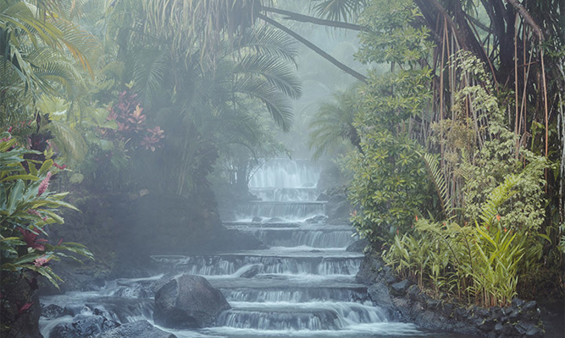 Peaceful tropical garden stream flowing down stone steps surrounded by lush foliage. 